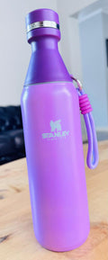 Stanley Bottles