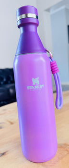 Stanley Bottles